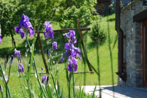 a bunch of purple flowers in a yard at Il Paradiso monolocale Cottage in Albareto