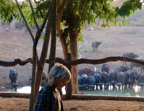 a woman standing in front of a herd of animals at Lamai Safari Lodge in Balule Game Reserve