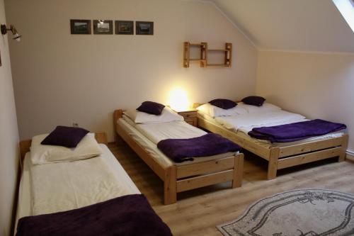 Una habitación con dos camas con almohadas moradas. en Familiówka, en Mizerna
