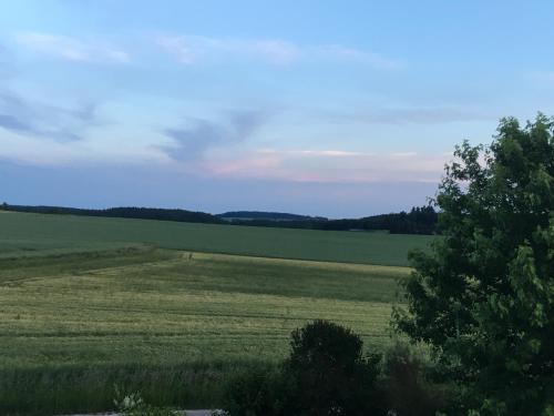 a large field of green grass with trees in the foreground at Ferienwohnung zum Dorfwirt in Riedenburg
