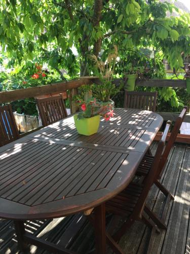 une table en bois avec deux chaises et une plante sur celle-ci dans l'établissement notre maison à Eguisheim, à Eguisheim
