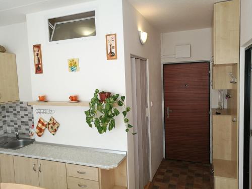 a kitchen with a sink and a wooden door at Apartmán v Jihlava City in Jihlava