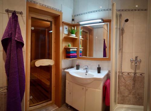 y baño con lavabo y ducha. en Apartma BaLe, en Kranjska Gora