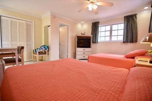 a bedroom with two beds and a flat screen tv at Nathan's Lodge in Kemps Bay