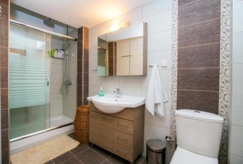 a bathroom with a toilet and a sink and a shower at Kallisti Apartment in Skala Kallirachis