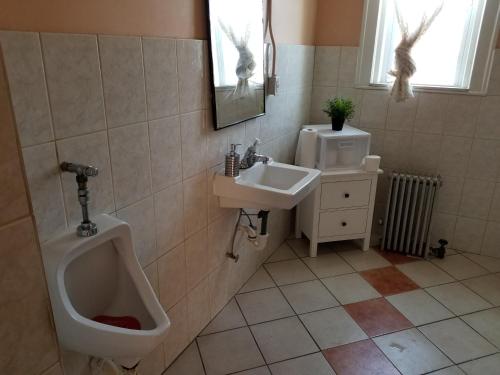 ein Badezimmer mit einem Urinal und einem Waschbecken in der Unterkunft Hamtramck Hostel in Detroit