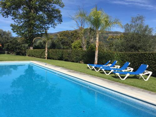 a swimming pool with two lounge chairs and a palm tree at ROSA Y GARDENIA - Solo Adultos in Ponte de Lima