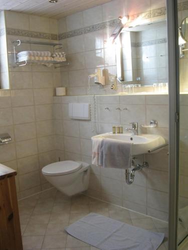 a bathroom with a toilet and a sink at Ferienapartmenthaus Hubertushof in Mittenwald