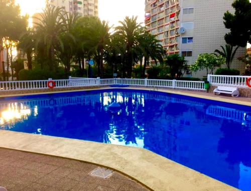 a large blue swimming pool with palm trees and buildings at Gran Park Benidorm in Benidorm