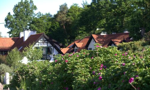 a group of houses with pink flowers and trees at Szwajcaria Mazurska in Zawady Oleckie