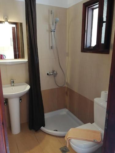 a bathroom with a shower and a toilet and a sink at Levantino Studios & Apartments in Vasilikos