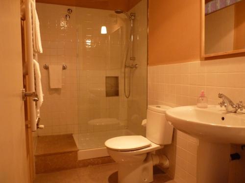 a bathroom with a shower and a toilet and a sink at Cal Maginet in Vilavert