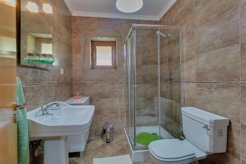 La salle de bains est pourvue de toilettes, d'un lavabo et d'une douche. dans l'établissement Casa da Tia Palmira, à Castelo de Paiva