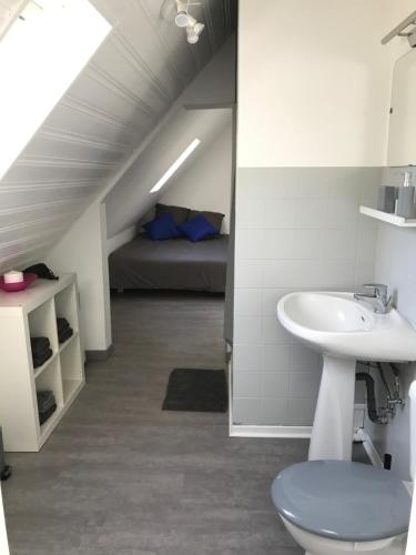 ストラスブールにあるF1 atypique au centre de Strasbourgのバスルーム(洗面台、トイレ付)、ベッド1台が備わります。