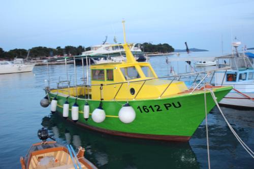 a green and yellow boat is docked in the water at Apartman L&P in Fažana