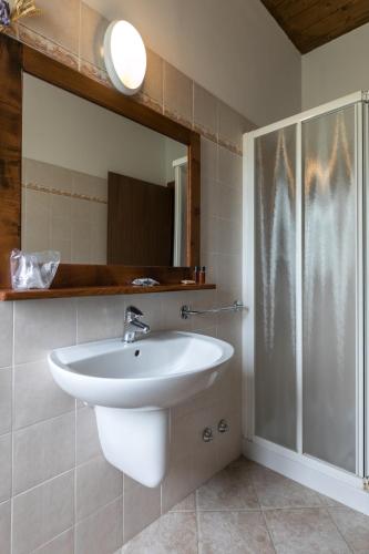 a bathroom with a sink and a shower at Agriturismo L'Antico Frutto in Premilcuore