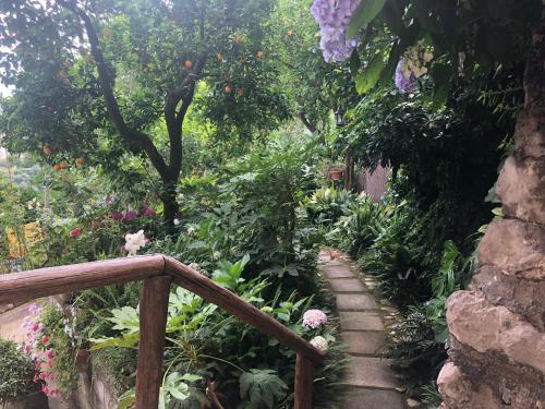 Giardino di B&b L' Arancio in fiore
