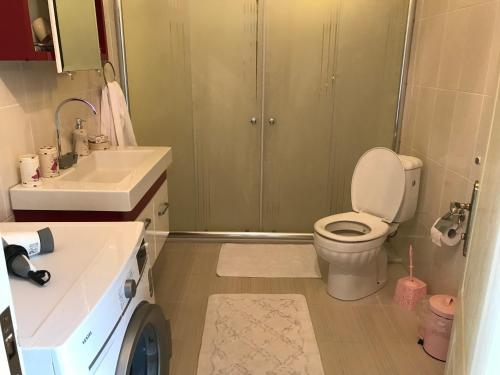 a small bathroom with a toilet and a sink at Sea & Nature Villa Hisar in Trabzon