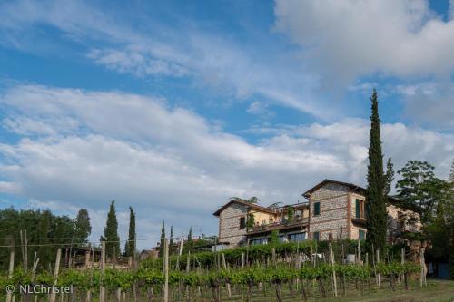 Gallery image of Agriturismo La Pietriccia in Chianciano Terme