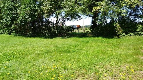 Taman di luar Urlaub bei Hauenstein