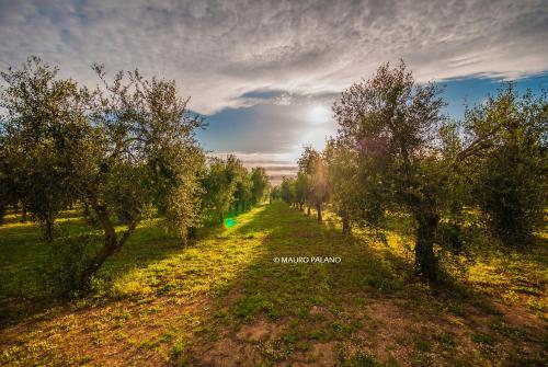 Gallery image of Tenuta Kyrios Agriresort Restaurant & Pool in Borgagne