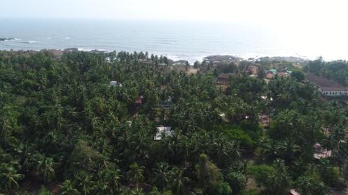 an aerial view of the beach and coconut trees at Green Arc Homestay in Malvan