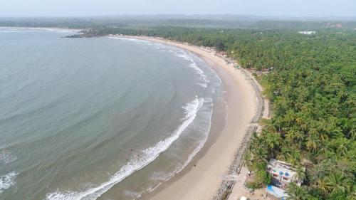 an aerial view of a beach with coconut trees at Green Arc Homestay in Malvan