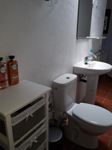a bathroom with a white toilet and a sink at Loft La Tahonilla in Tías