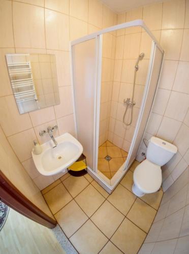 a bathroom with a shower and a toilet and a sink at Gospodarstwo Agroturystyczne Jacwing in Giby