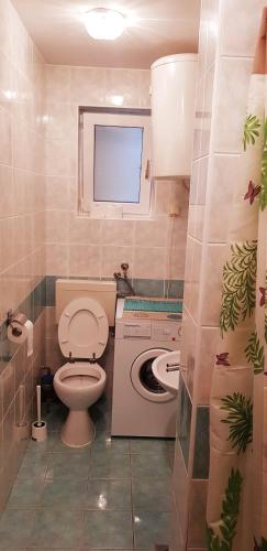 a bathroom with a toilet and a sink at Apartment Bjanka in Pakoštane