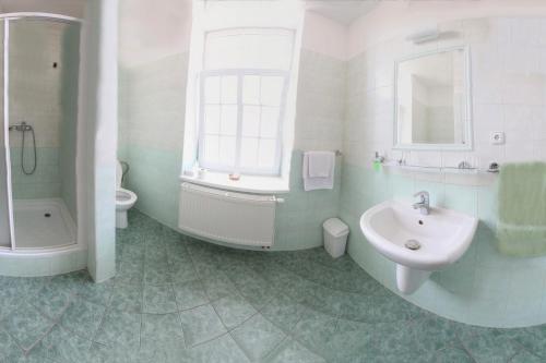 a bathroom with a sink and a tub and a toilet at Penzion Tillerova vila in Lázně Bohdaneč