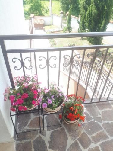 two pots of flowers sitting on a balcony at Adriana F. in Dobreć