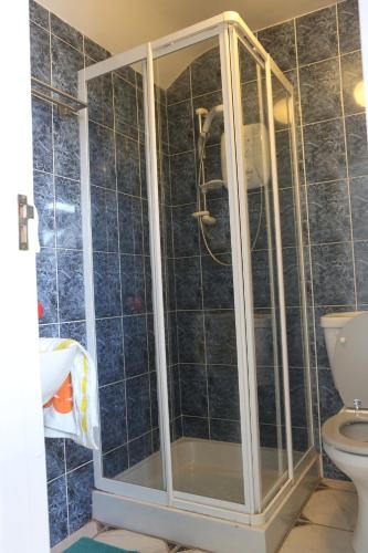 a shower in a bathroom with a toilet at Rosaries Apartment Kilkee in Kilkee