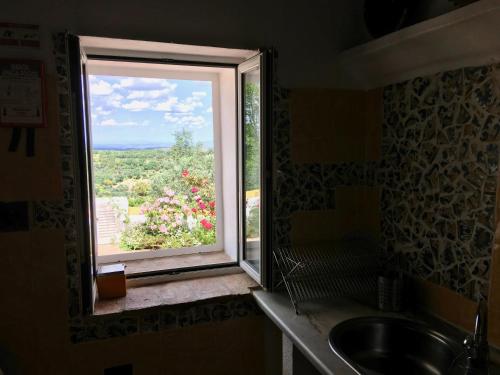 a window in a kitchen looking out at a garden at Canto Mundo in Castelo de Vide