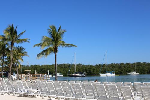 a group of white chairs on a beach with boats at Gilbert's Resort in Key Largo