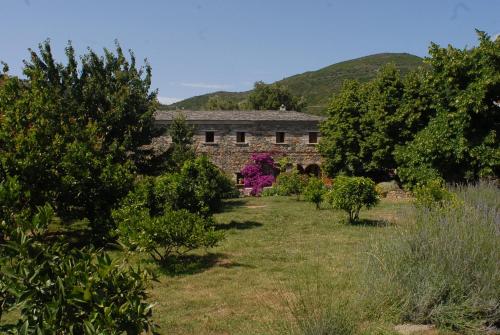 Casa-Albina-Corsica