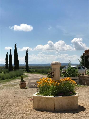 a large stone planter with flowers in a yard at residence la Salamandre kamers in Rabastens
