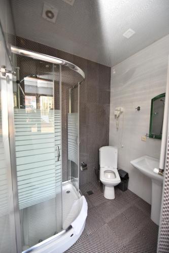 a bathroom with a shower and a toilet and a sink at Hotel Phaliashvili in Batumi