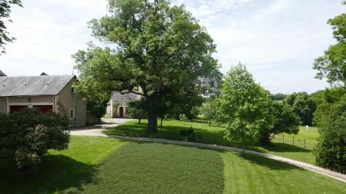 Κήπος έξω από το B&B Château de Preuil