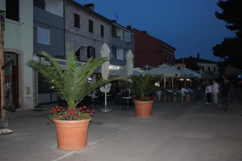 a group of potted plants on a city street at Apartman L&P in Fažana