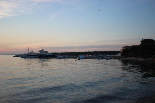 a group of boats docked in a body of water at Apartman L&P in Fažana
