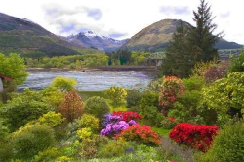 a painting of a garden with flowers and a river at Loch Leven Hotel & Distillery in Glencoe