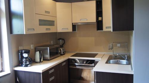 a small kitchen with a sink and a microwave at Apartamenty Villa Akant in Piechowice