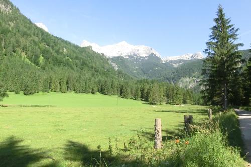 a field of green grass with mountains in the background at Hotel garni Landhaus Bürtlmair in Hinterstoder