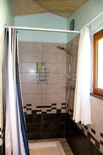 une salle de bain avec une douche avec un rideau de douche dans l'établissement Gite Derrière les Oliviers -Le Mas de la Cigale Bleue, à Caumont-sur-Durance