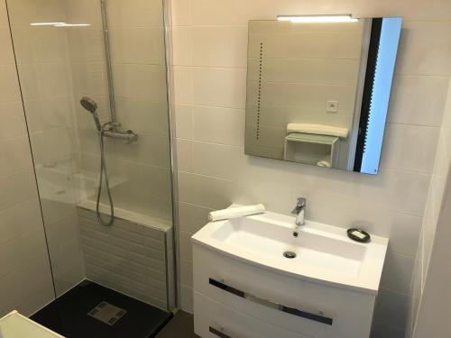 une salle de bain avec une douche, un lavabo et un miroir dans l'établissement studio pieds dans l’eau, à Ajaccio