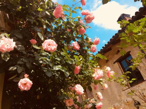 Κήπος έξω από το Agriturismo la Molina
