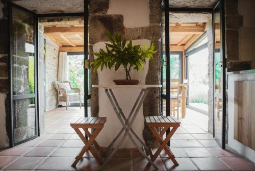 a console table with a plant on it in a hallway at O Curralino in Vilacoba