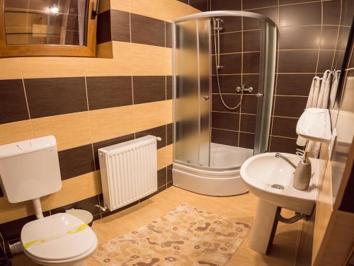 a bathroom with a shower and a toilet and a sink at Heaven in Sălişte