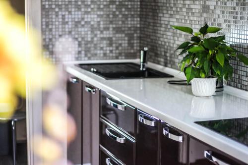 a kitchen with a sink and a potted plant at Z - apartment in Valmiera